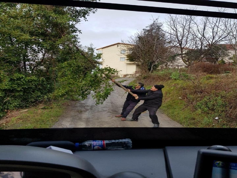 TRAFİĞİ TEHLİKEYE SOKAN AĞAÇLAR BUDANDI