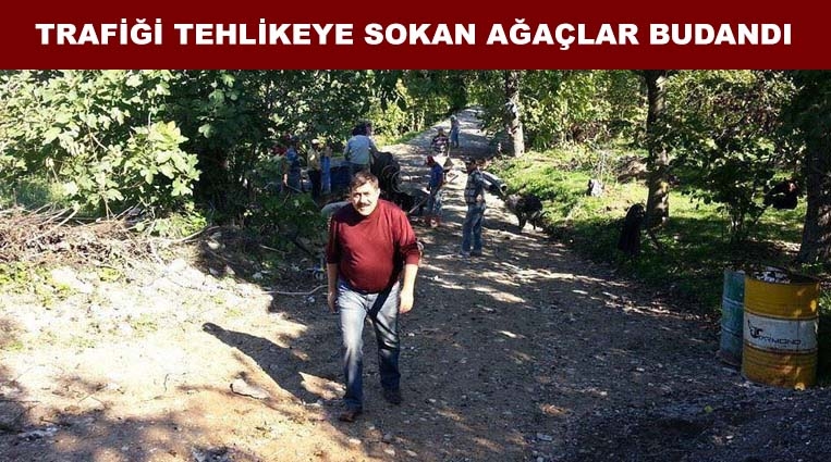 TRAFİĞİ TEHLİKEYE SOKAN AĞAÇLAR BUDANDI