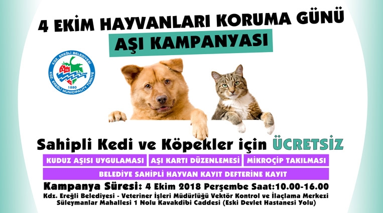 HAYVAN SEVENLERE MÜJDE, BELEDİYEDEN KEDİ VE KÖPEKLER İÇİN AŞI DAVETİ...