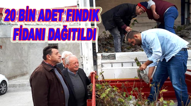 ALAPLI ZİRAAT ODASI 20 BİN FİDAN DAĞITTI