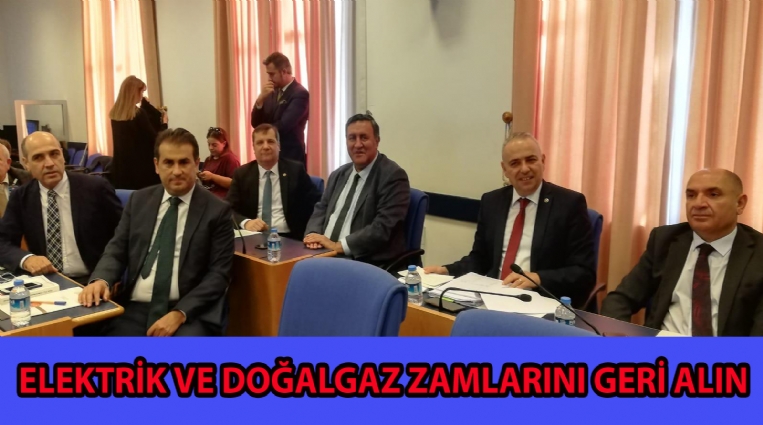 ELEKTRİK VE DOĞALGAZ ZAMLARINI GERİ ALIN!