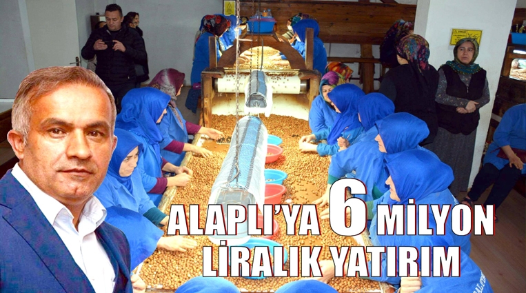 “ALAPLI’YA 6 MİLYONLUK YATIRIM”