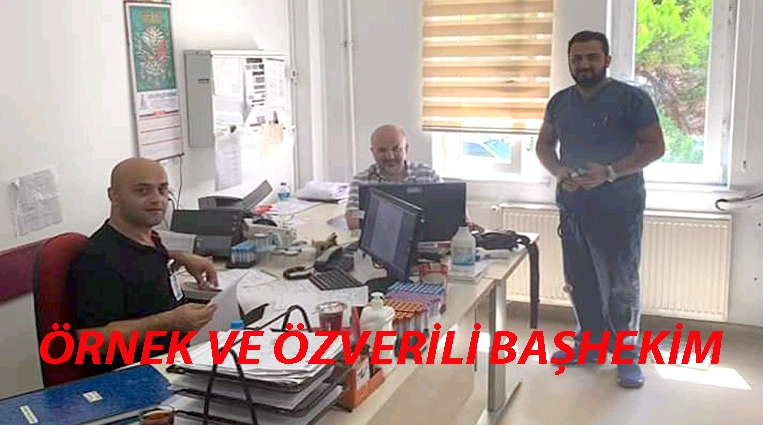 ÖRNEK VE ÖZVERİLİ BAŞHEKİM.