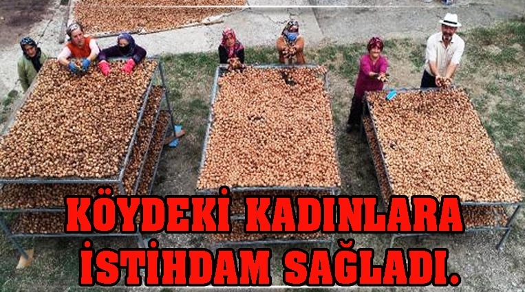 KÖYDEKİ KADINLARA DA İSTİHDAM SAĞLADI