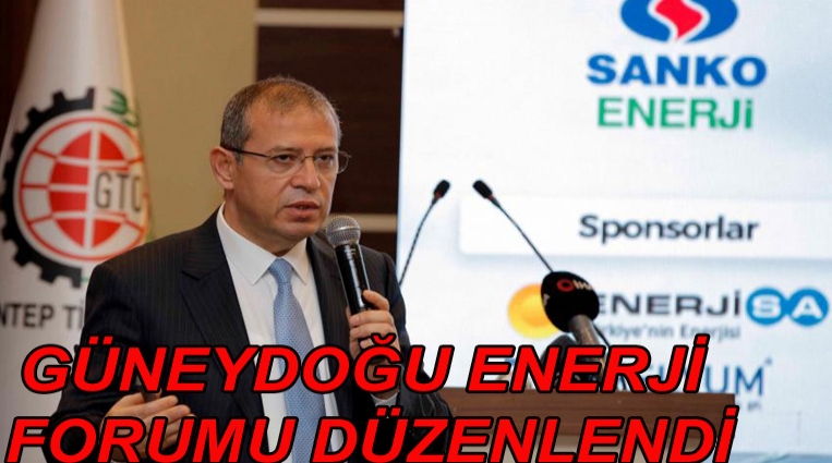 GÜNEYDOĞU ENERJİ FORUMU DÜZENLENDİ