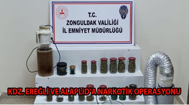 KDZ. EREĞLİ VE ALAPLI’DA NARKOTİK OPERASYONU