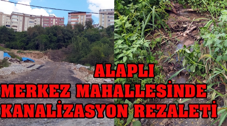 ALAPLI’NIN MERKEZİNDE,  KANALİZASYON REZALETİ