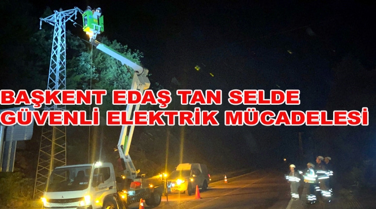 BAŞKENT EDAŞ’TAN SELDE GÜVENLİ ELEKTRİK MÜCADELESİ