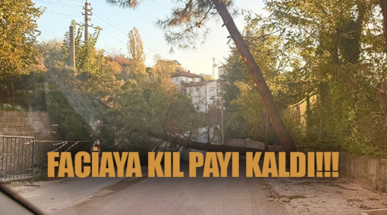 FACİAYA KIL PAYI KALDI!!!