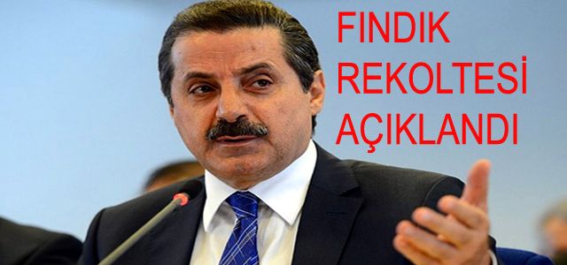 BAKAN ÇELİK, 2016'NIN FINDIK REKOLTESİNİ AÇIKLADI