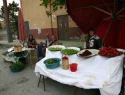 ORGANİK PAZAR KURULDU