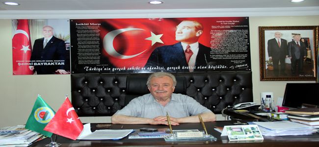 ALAPLI’DA SİS FINDIK REKOLTESİNİ DÜŞÜRDÜ